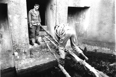 pso12_jeux_equilibre